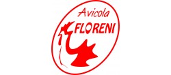 Floreni